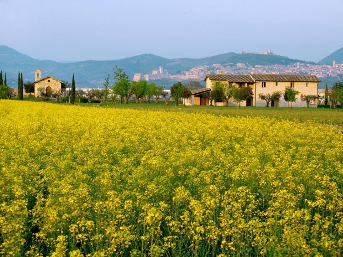 Valle Di Assisi Country Apartments Buitenkant foto