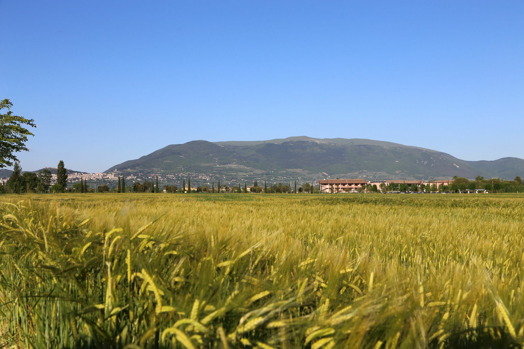 Valle Di Assisi Country Apartments Buitenkant foto