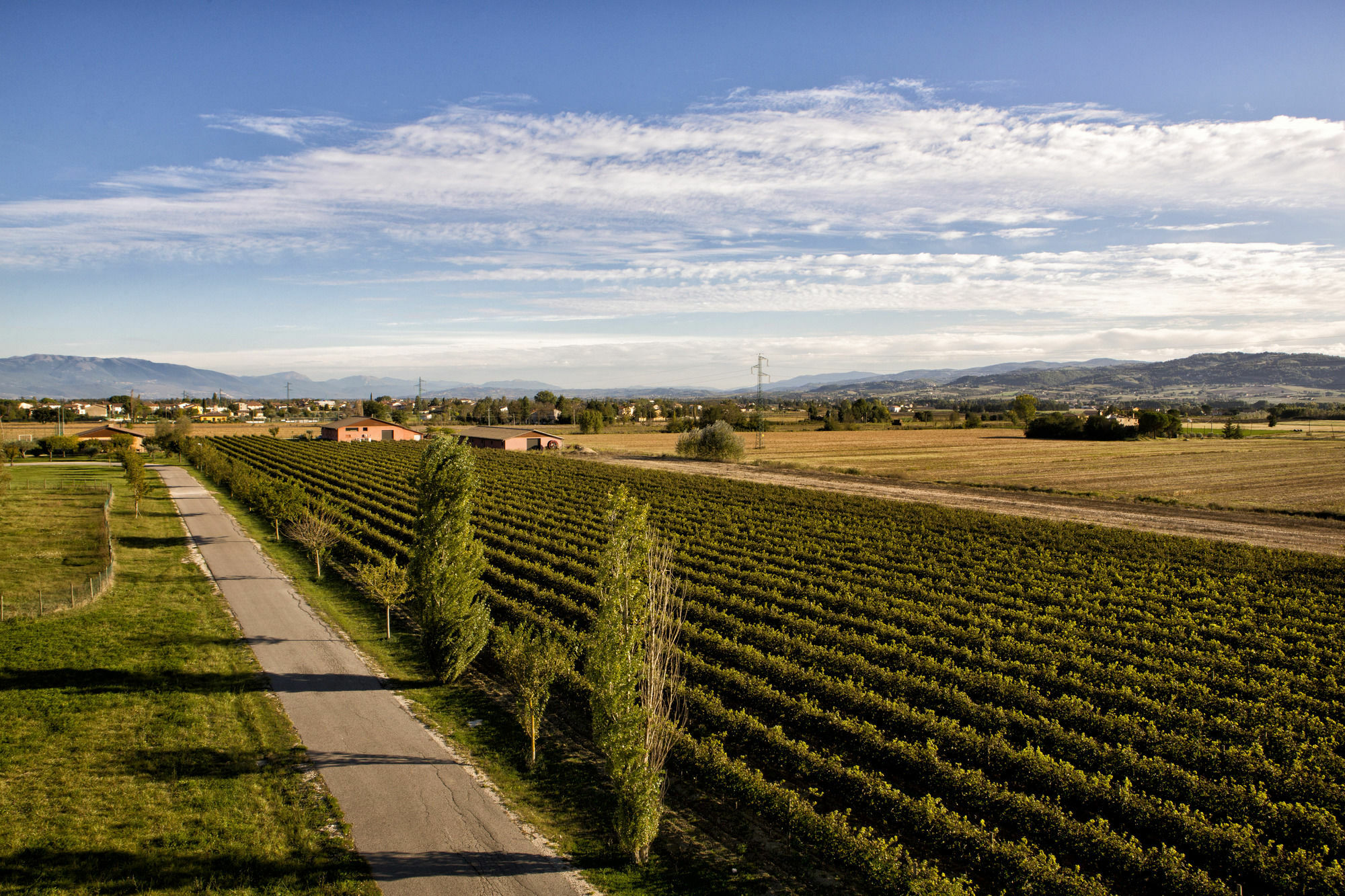 Valle Di Assisi Country Apartments Buitenkant foto